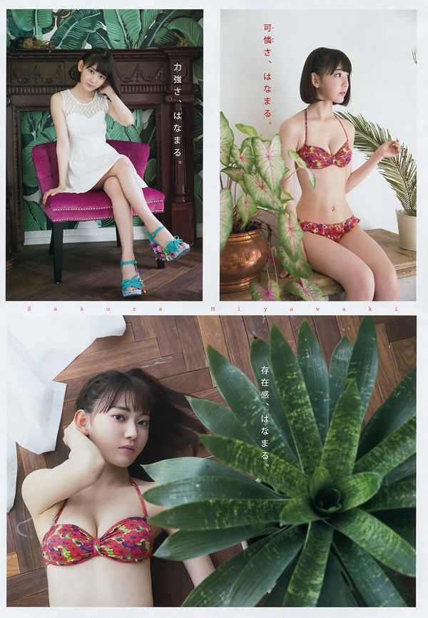[Молодой журнал] Sakura Miyawaki Reimi Osawa 2016 No.41 Photograph