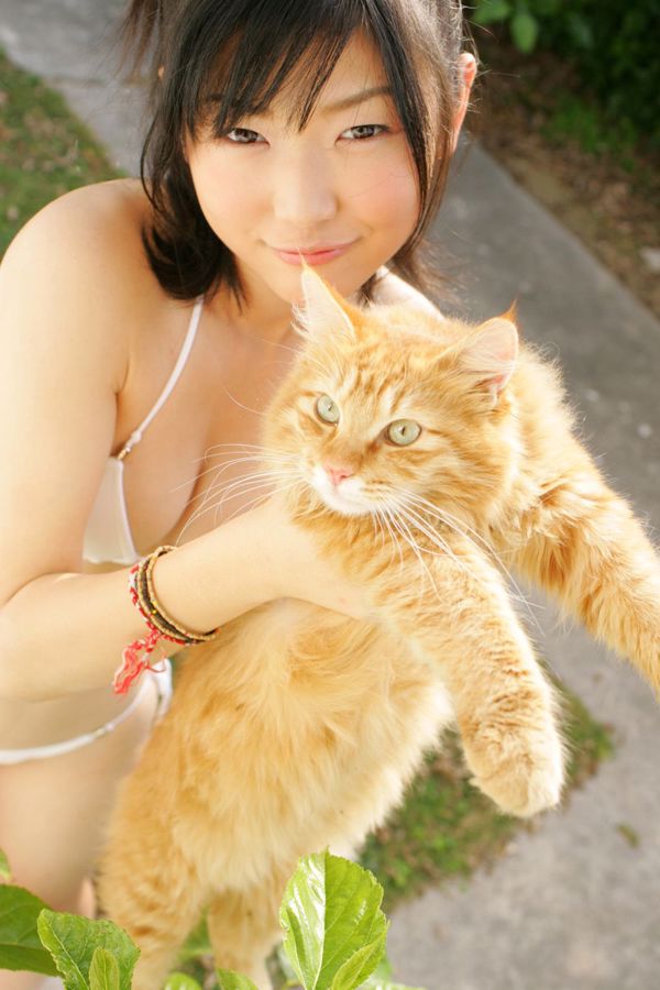 [DGC] NO.409 Noriko Kijima Noriko Kijima Top Idols