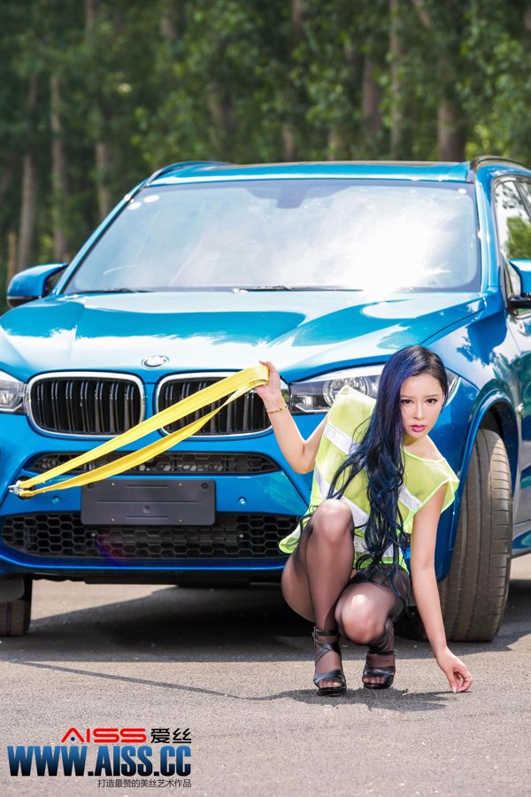 Sophie "Car Doctor" [AISS] F5031
